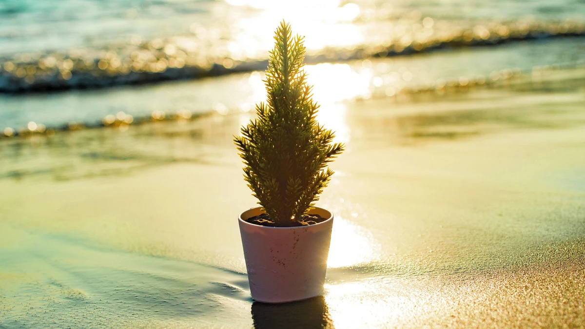 Between tradition and Mediterranean flair