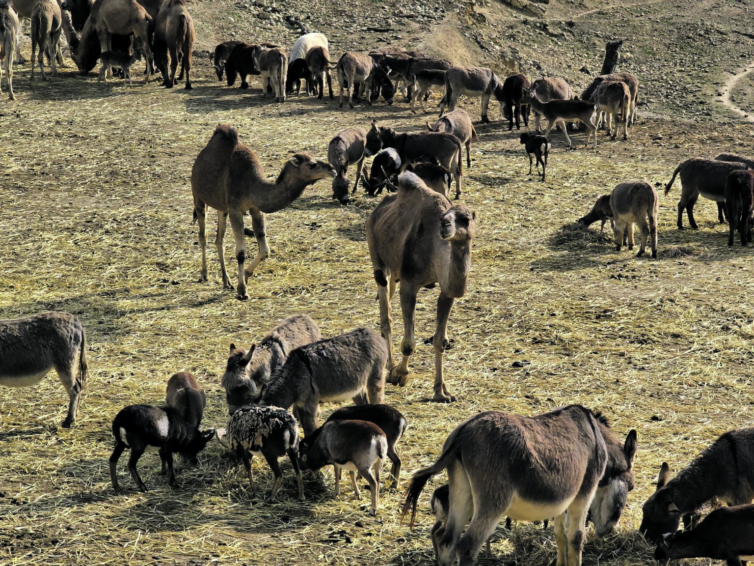 Safari Aitana: Abenteuer oder Alltag? Ein Blick hinter die Kulissen
