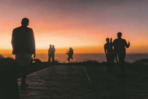 Wenn die Sonne schläft: Sommernächte voller Leben