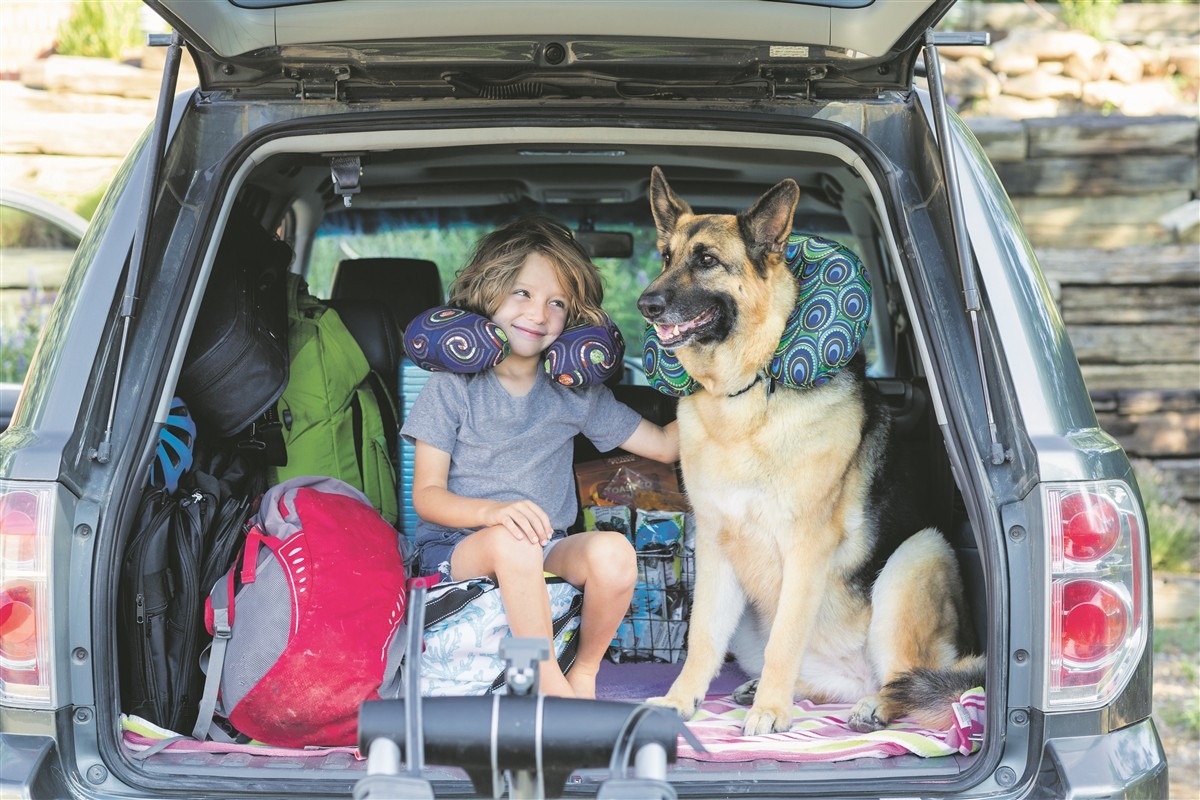 Voyager avec son chien et son chat 1