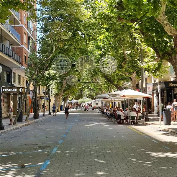 Denia
