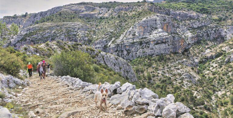 Senderismo en la Costa Blanca: barrancos y senderos costeros