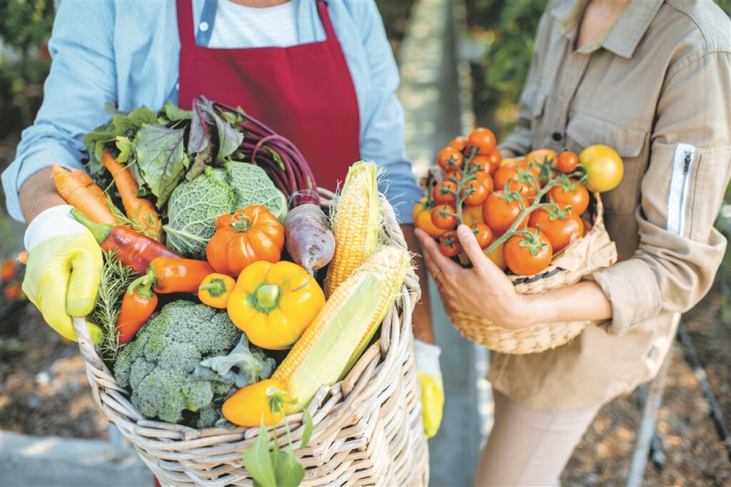 From Jesús Pobre to Altea: regional markets, unpackaged shops and online cooperatives are changing shopping behaviour between Marina Alta & Baixa.