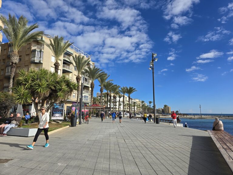 Torrevieja 2026 : 113 000 habitants, dont 57 % d'étrangers