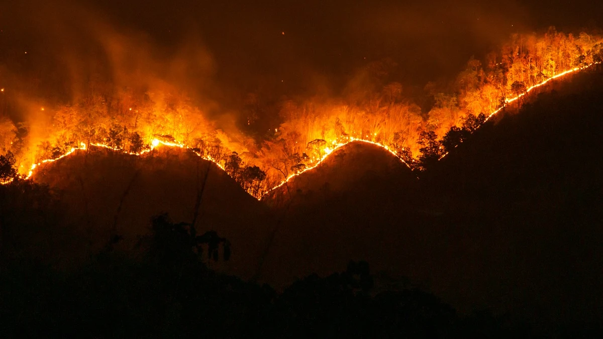 Waldbrand Almería: Katastrophe und Costa-Blanca-Regeln