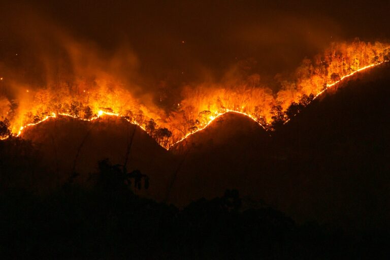 Incendio forestal en Almería: la catástrofe y la normativa de la Costa Blanca