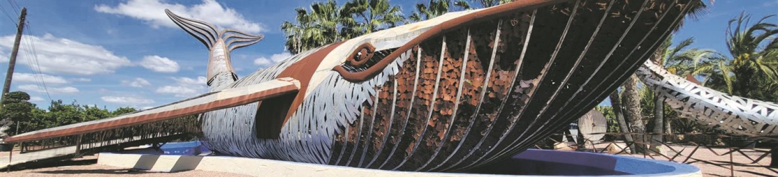 Zwischen Atelierlicht und Straßenstaub: Die lebendige Kunstszene der Costa Blanca