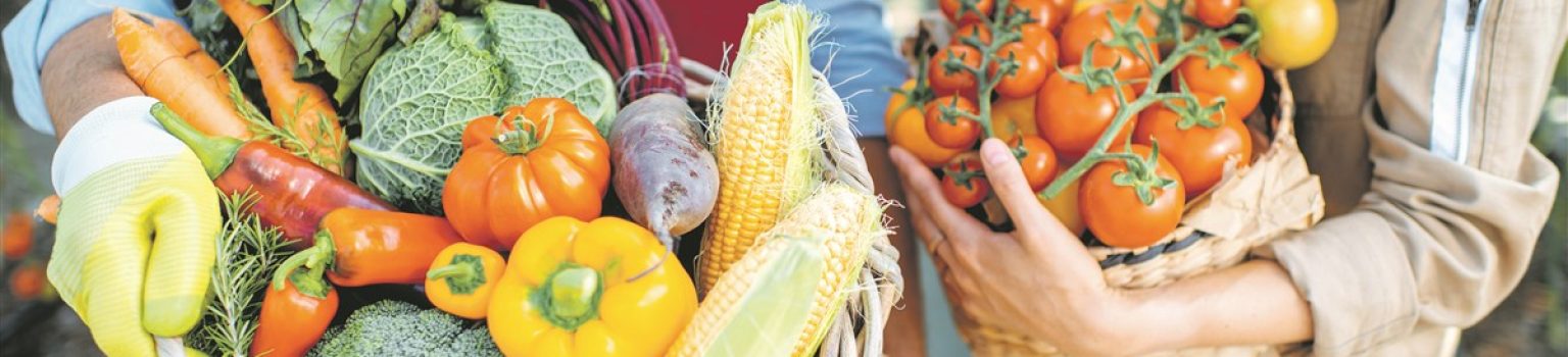 Von Jesús Pobre bis Altea: Regionale Märkte, Unverpackt-Läden und Online-Kooperativen verändern das Einkaufsverhalten zwischen Marina Alta & Baixa.